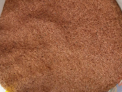 yp街机·电子游戏(中国)官方网站