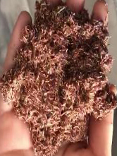 yp街机·电子游戏(中国)官方网站